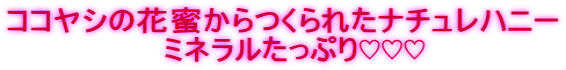 ココヤシの花蜜からつくられたナチュレハニー ミネラルたっぷり♡♡♡