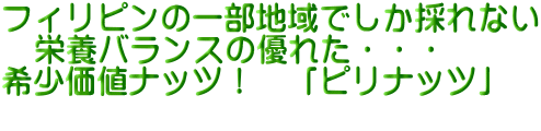 フィリピンの一部地域でしか採れない 栄養バランスの優れた・・・ 希少価値ナッツ! 「ピリナッツ」