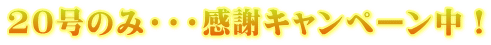 20号のみ・・・感謝キャンペーン中!