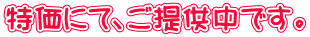 特価にて、ご提供中です。